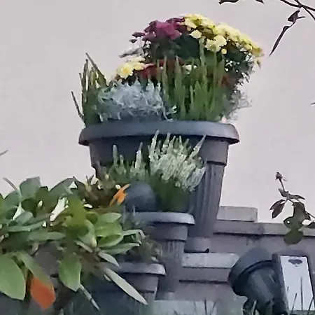 Apartmán Mala Beskidzka