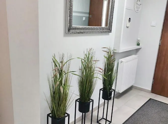 Apartment Mala Beskidzka